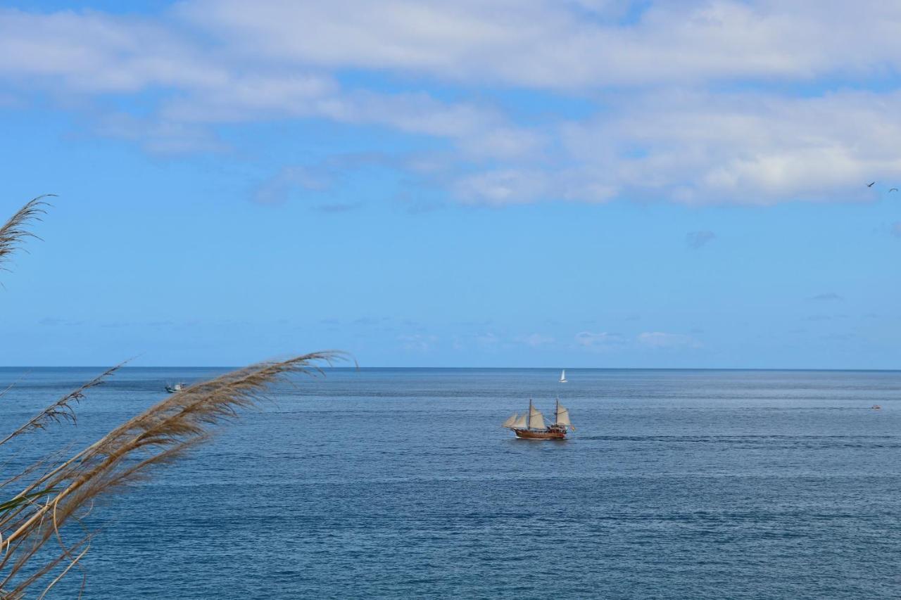 Panoramic Seaview Escape Villa ปัวร์โตเดซานตีอาโก ภายนอก รูปภาพ